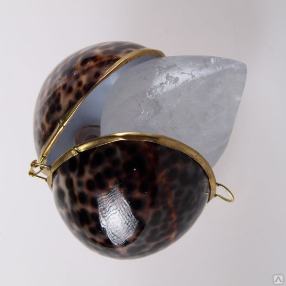 Кристалл свежести в Тигровой тихоокеанской раковине, цельный, 70г. (Кристалл Свежести)