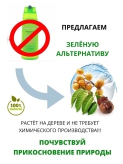 Натуральный шампунь &amp;quot;Трифолиатус&amp;quot;, 100гр. (Мыльные орехи)